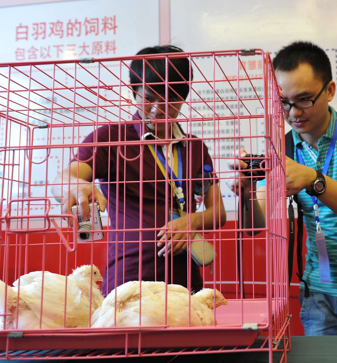 我在肯德基工作，明天要休9天长假，如何跟我的上司区经理王琴报备，以及介绍我餐厅资深副经理彭莹莹为代理人！