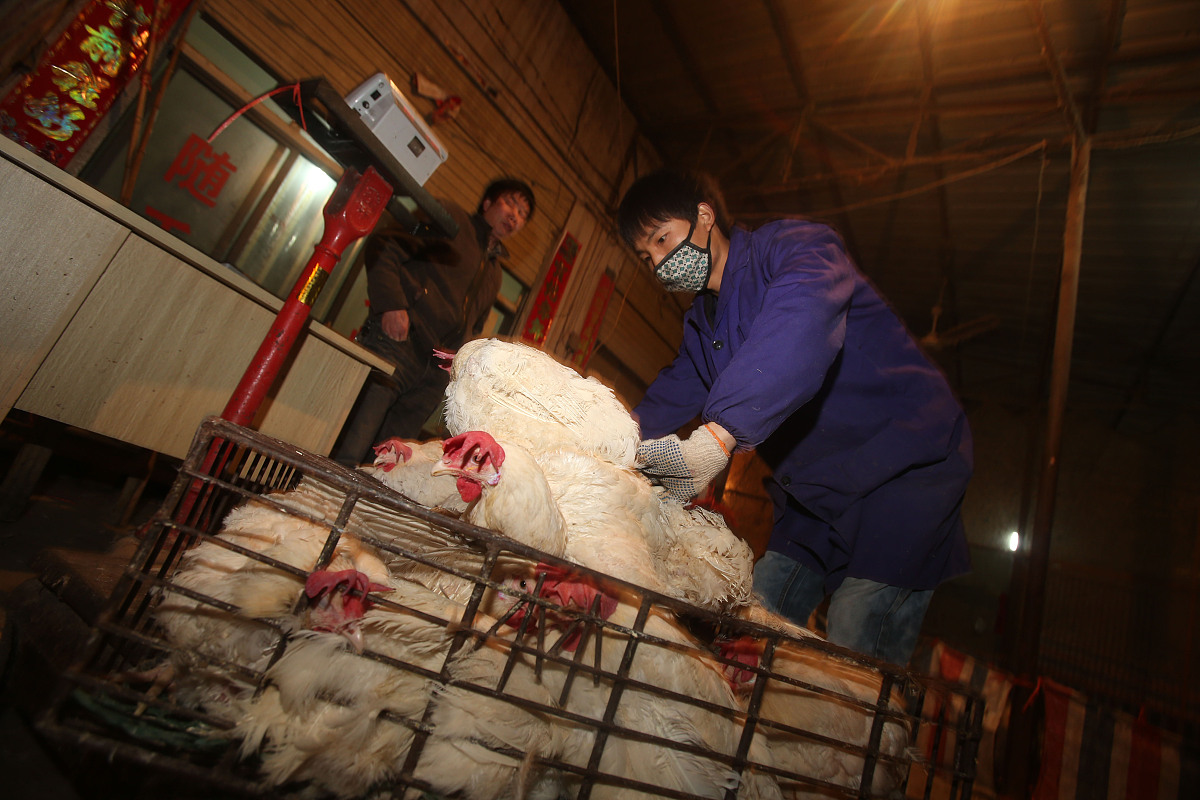 陕西国际商贸学院市场营销专业怎么样？优势、劣势及发展前景分析