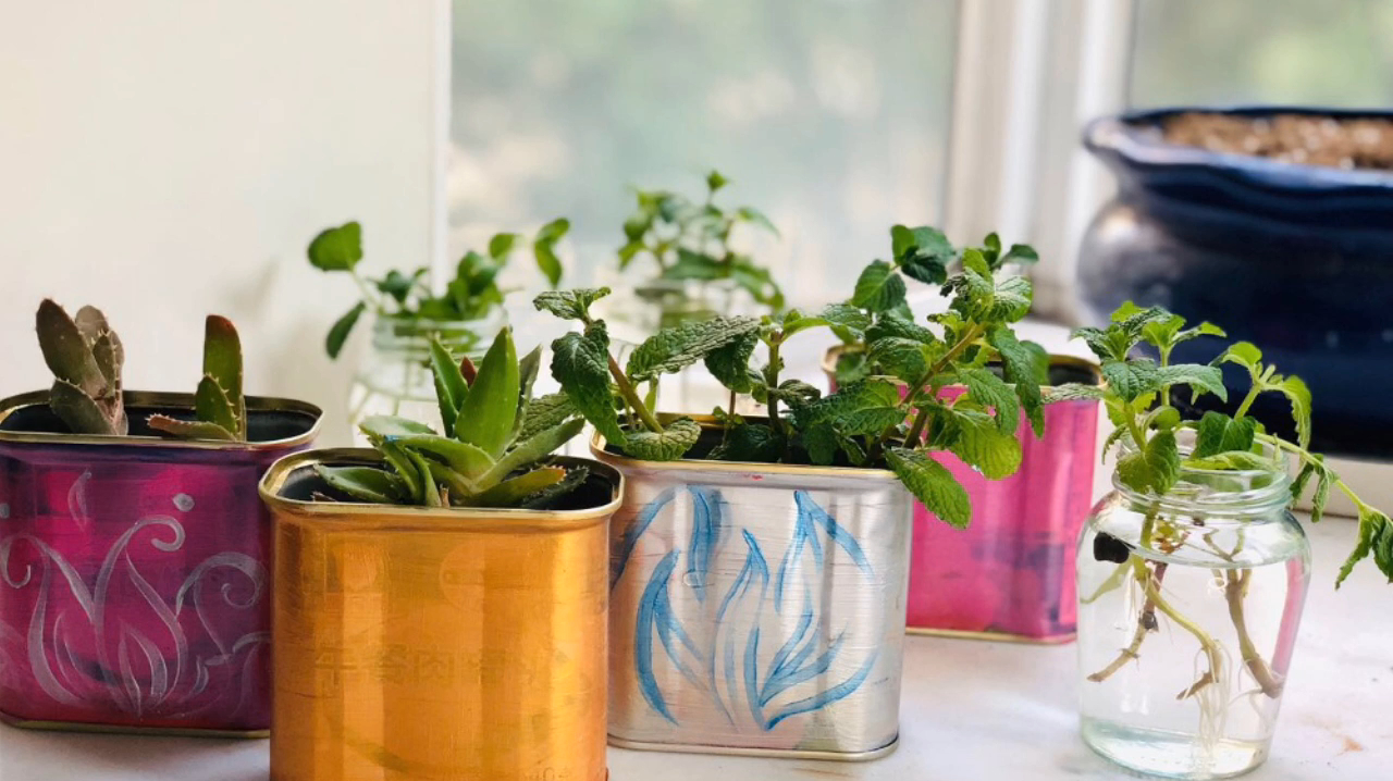 丙烯颜料:午餐肉罐头盒,变身文艺清新的小花盆