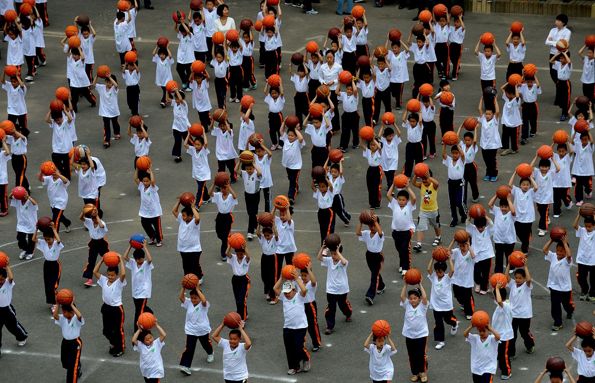 河源职业技术学院体育教育专业课程设置有哪些