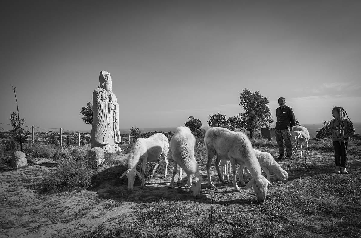 屹立不倒是什么意思_词语屹立不倒的意思