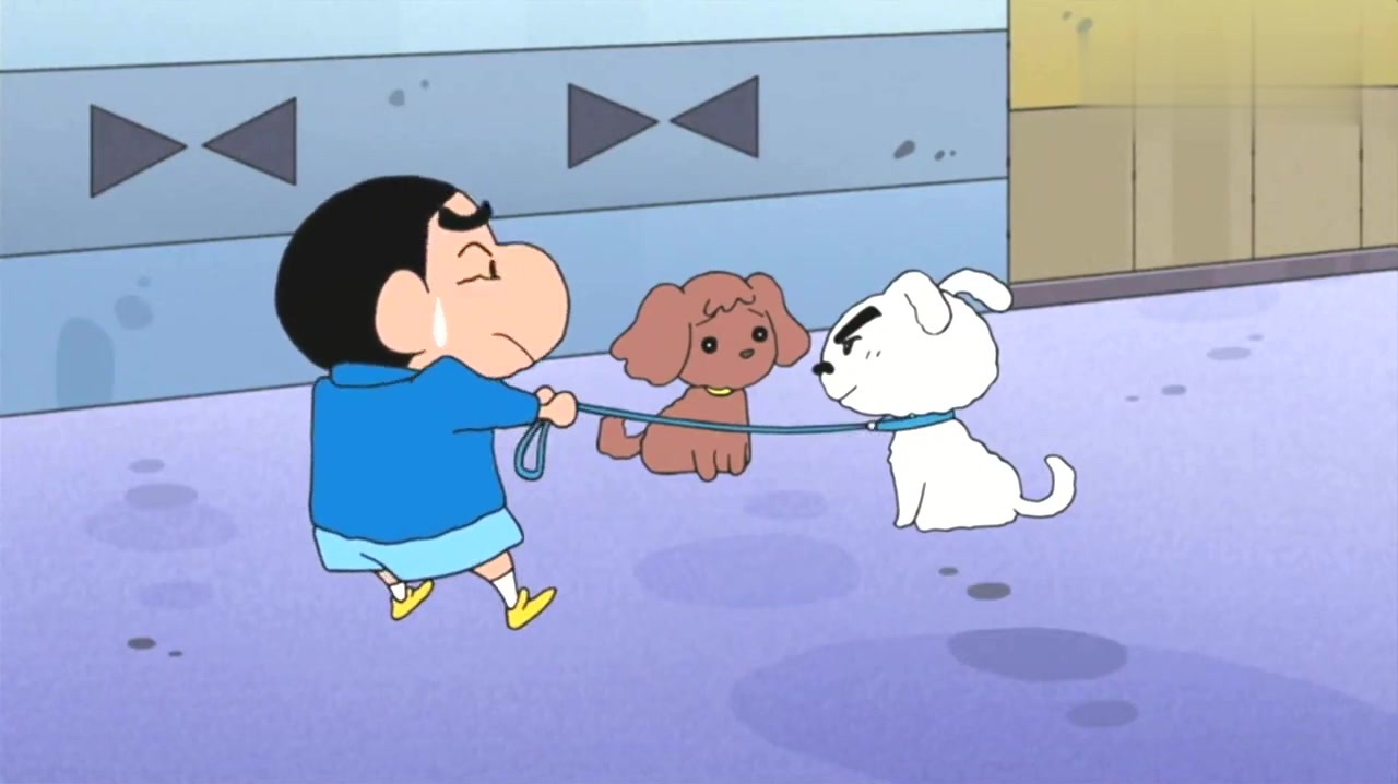 蜡笔小新:小白看到小母狗把小新给拽倒,跟主人一样表情都这么像