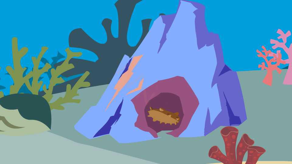 为什么海参一身小肉刺