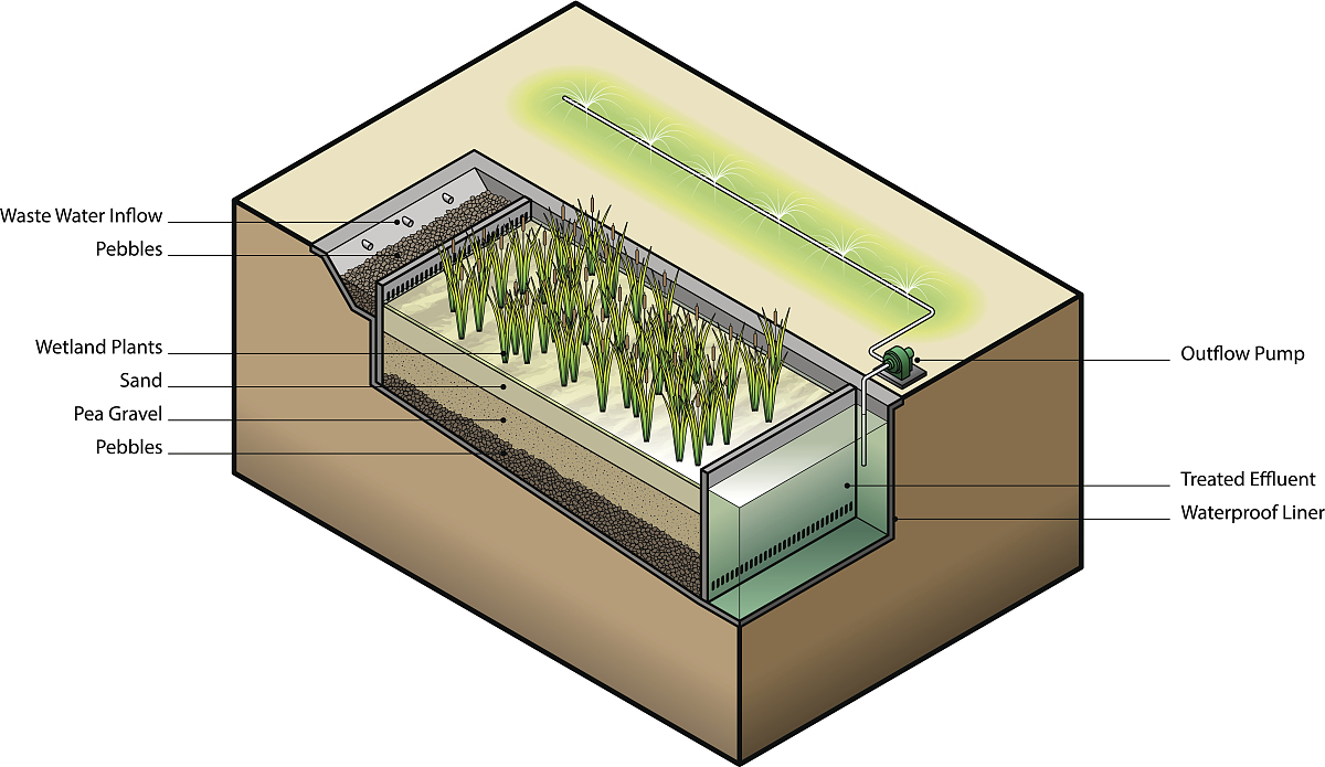 固定化微藻去除养殖废水中Cu2+的最佳条件及机理研究