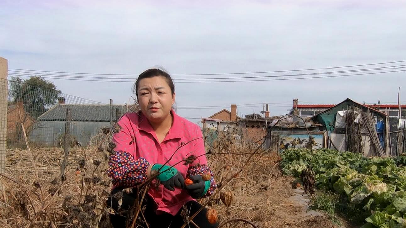 [图]关姐为结婚的男人改编的一首歌，请记住路边的野花你不要采！好听