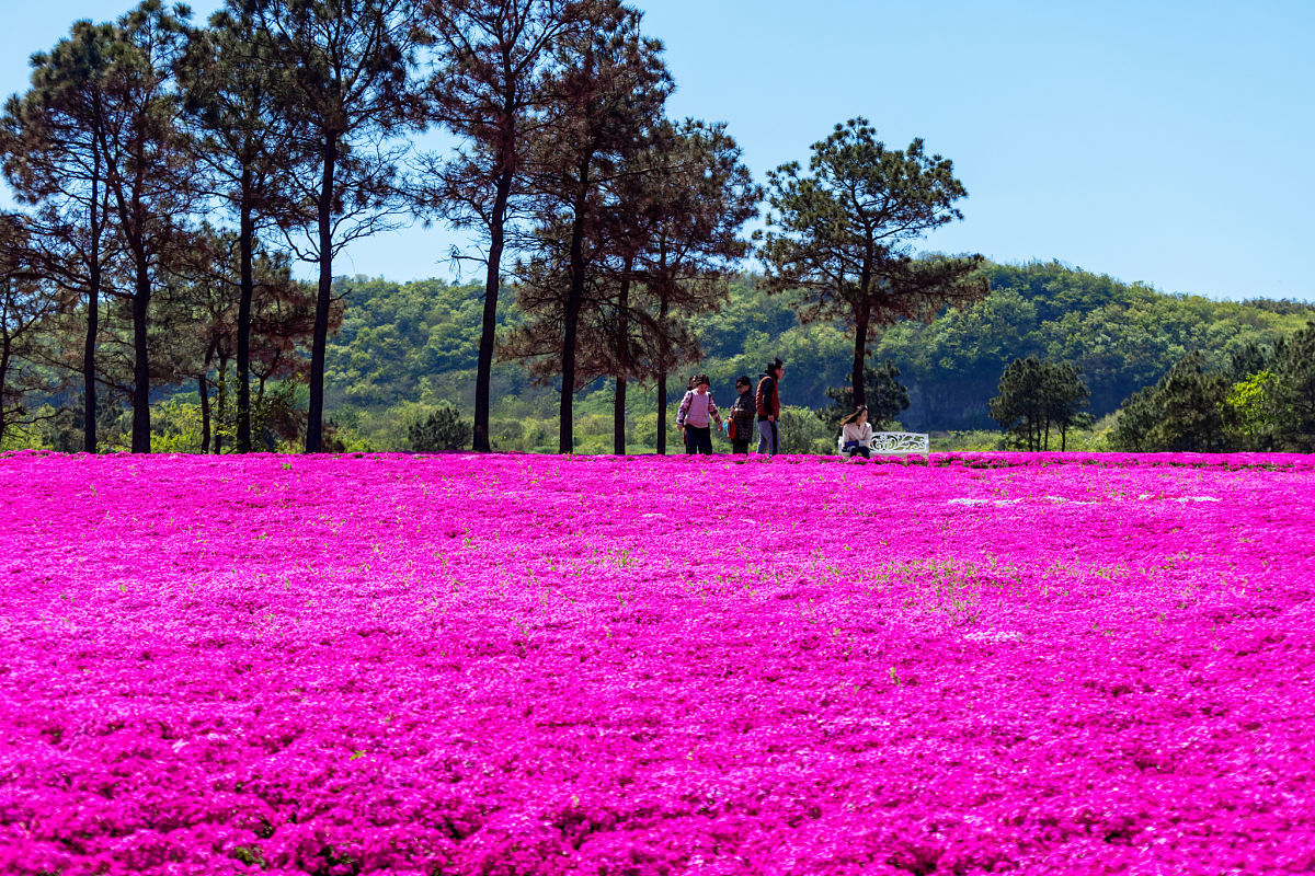 2023年镇江高等职业技术学校招生简章