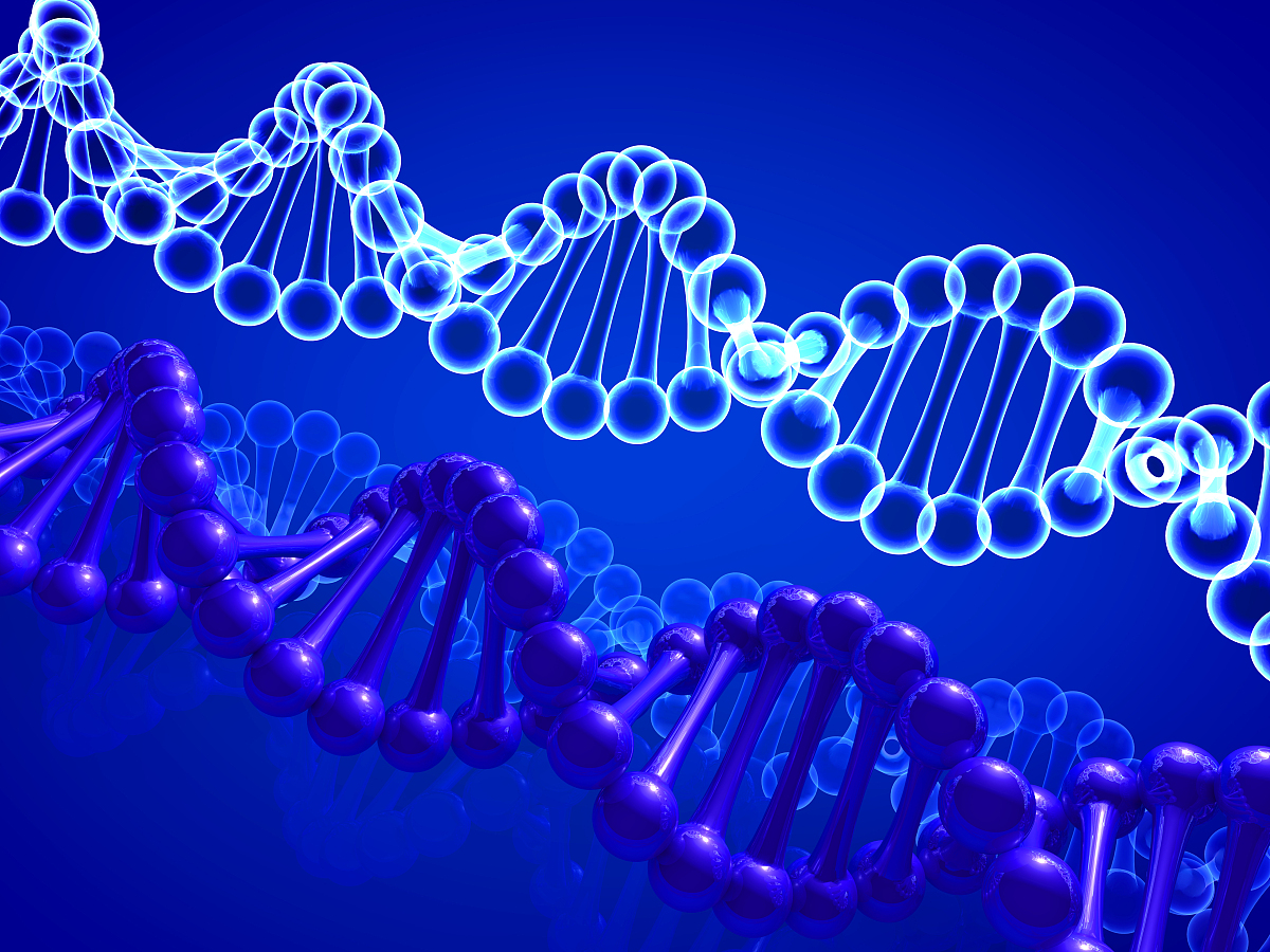 MOLECULAR BREEDING: 分子育种研究领先期刊