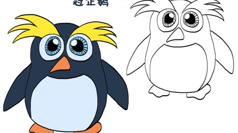 简笔画大全,冠企鹅