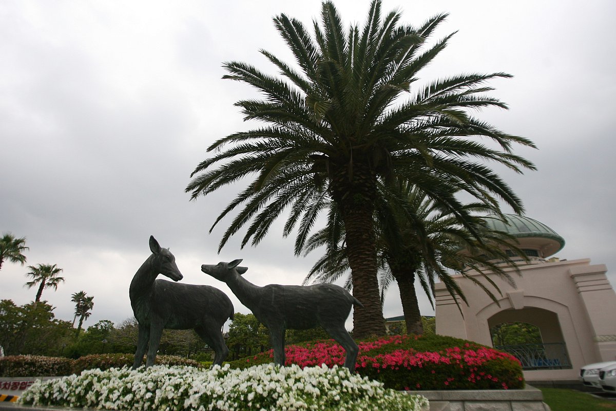 六盘水职业技术学院旅游管理专业怎么样？课程设置、师资、就业前景分析