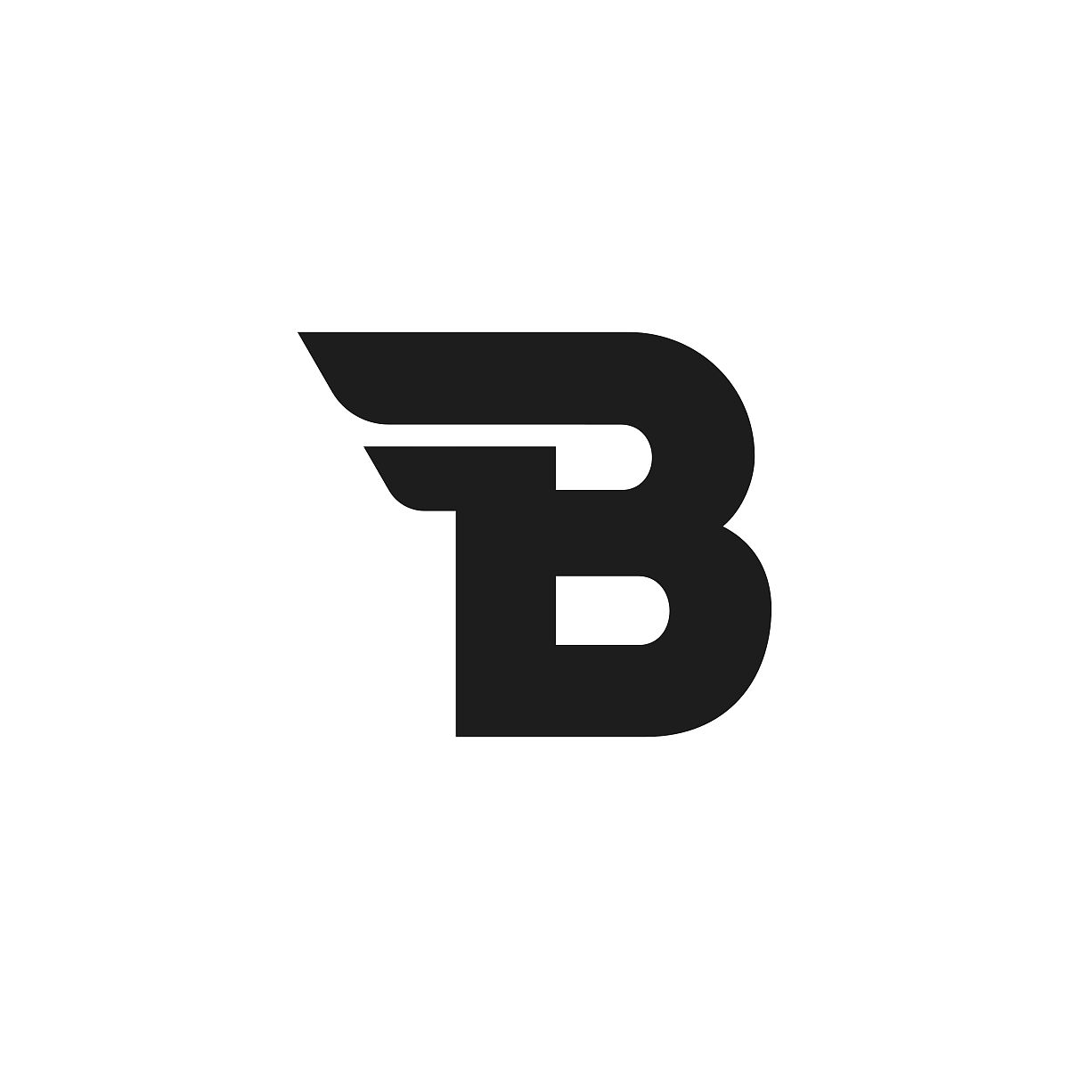 vector logo letter b double wing
