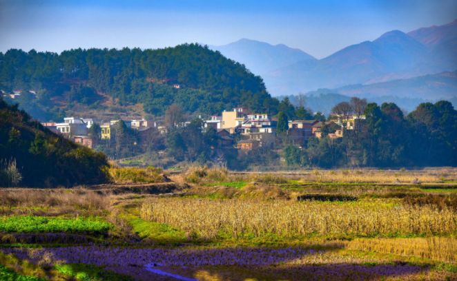 格力多元化转型不要急着追赶海尔美的,先从乡村开始!-家电圈官网