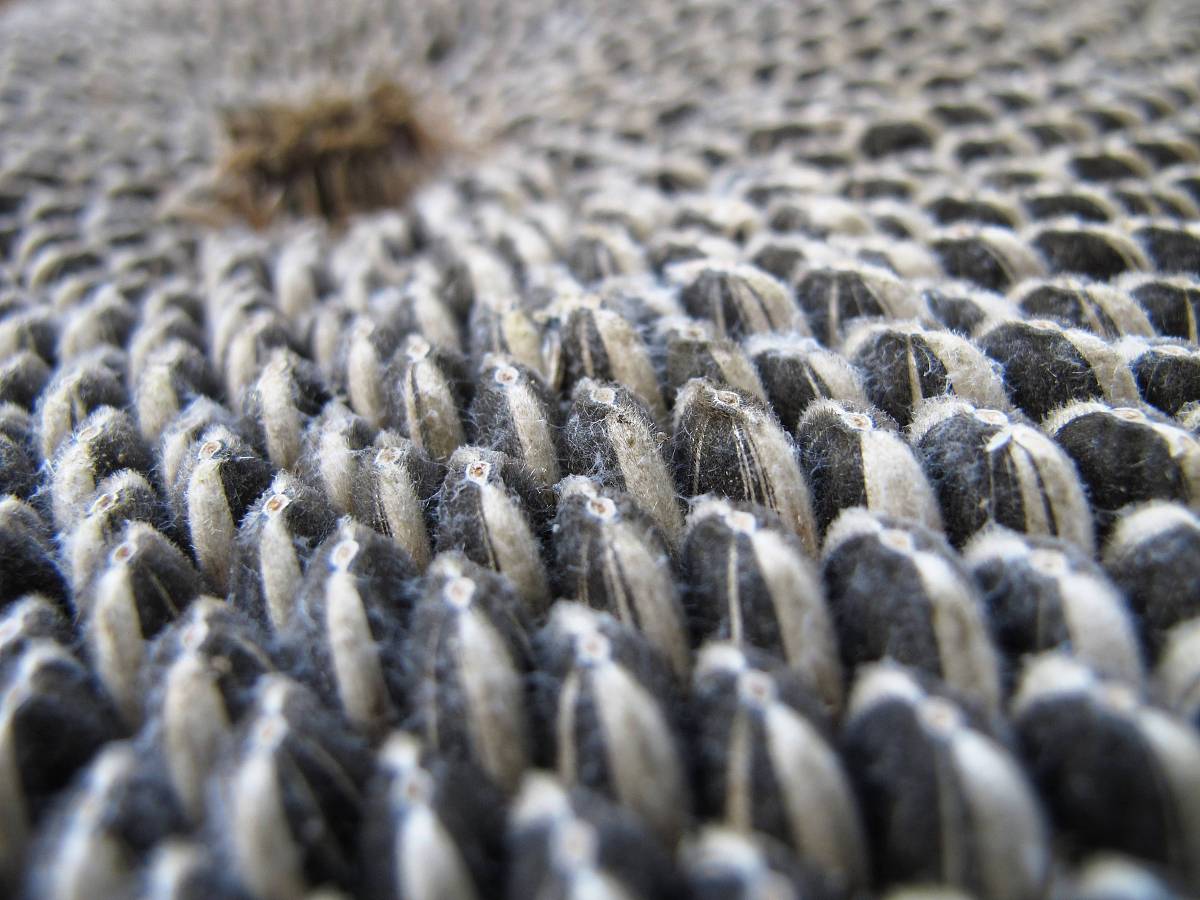 葵花盘复合固体饮料的功效有哪些？