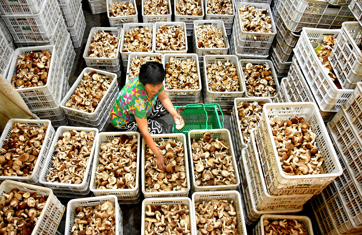 在零下20℃的室外环境5000m²的塑料大棚内放置一台制热量为380kw的空调大约需要多少时间可以把塑料棚内上升到30℃