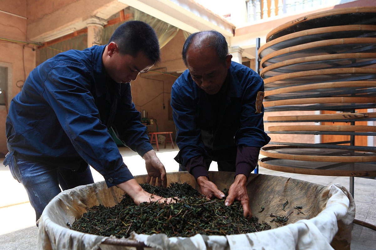***_***2013年10月12日,上海,福建传统乌龙茶制作方法