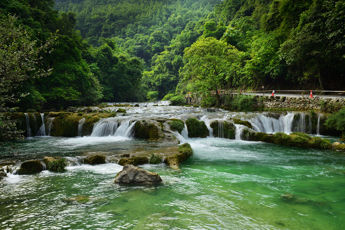 我要去贵州旅游去哪里比较好