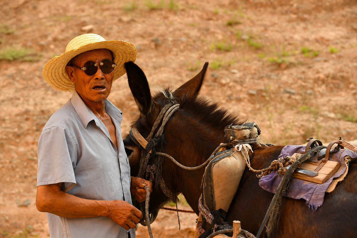 甘肃景泰职业中等专业学校2021年招生条件：初中毕业生可报考