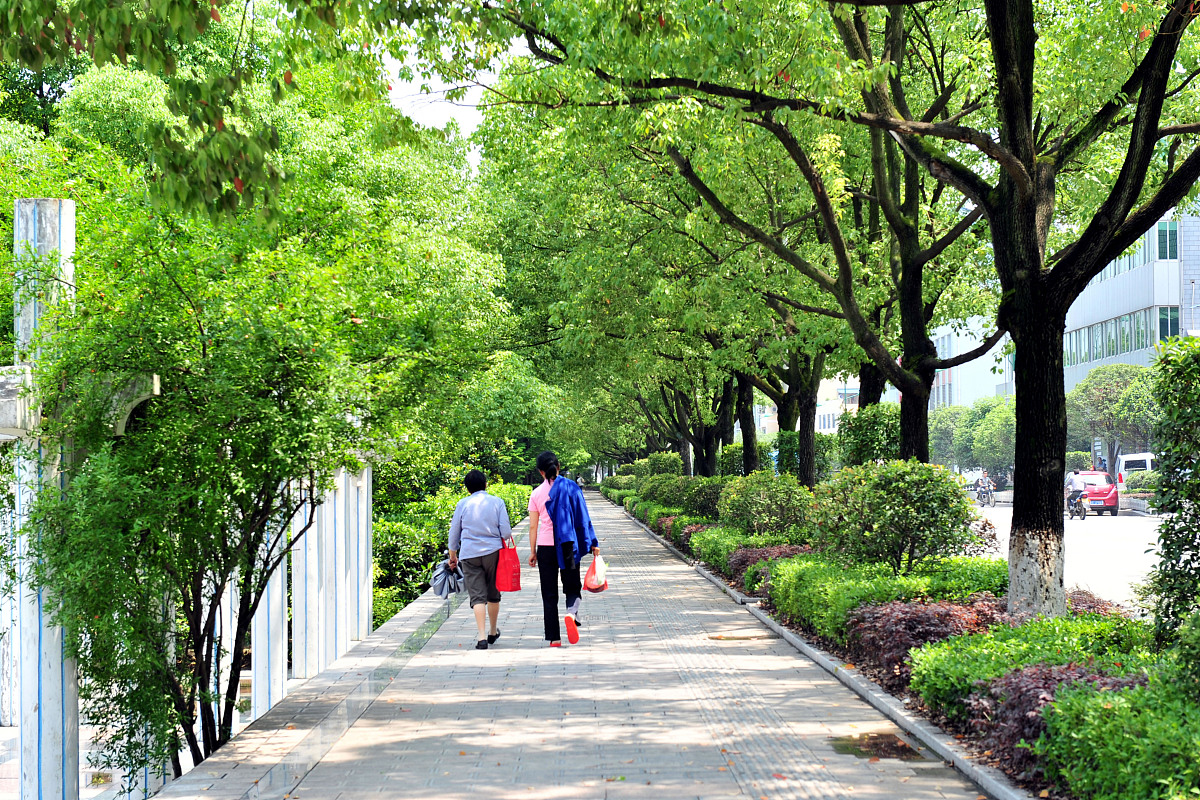 云南省林业学校计算机广告制作专业2022年招生 | 创意与责任兼备