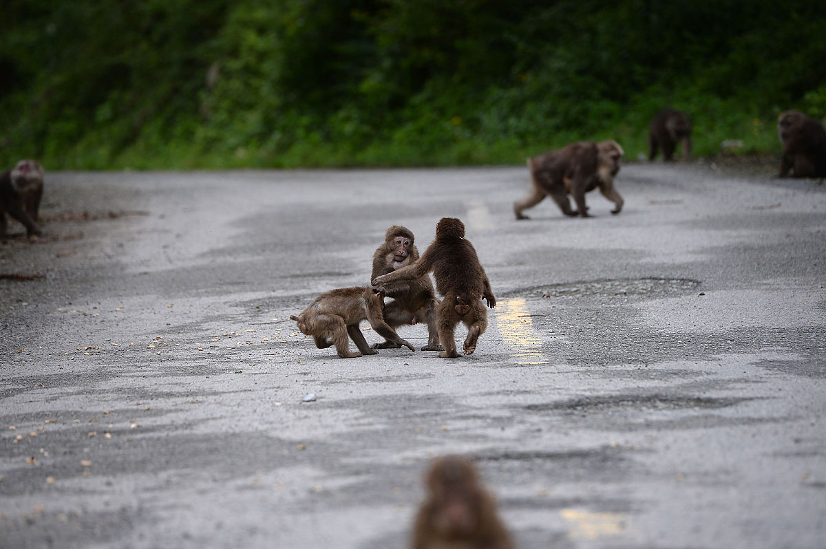 2018成都希望卫校招生计划如何「计划」