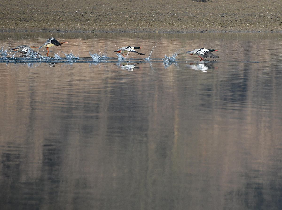 九江市媒体曝光求助热线：最全曝光渠道及有效解决方法
