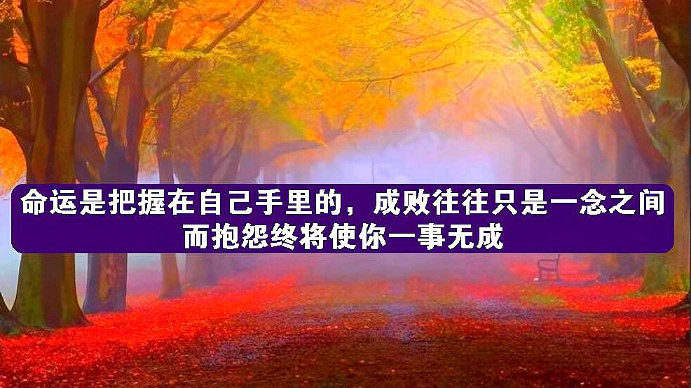 [图]命运是把握在自己手里的,成败一念之间,而抱怨终将使你一事无成