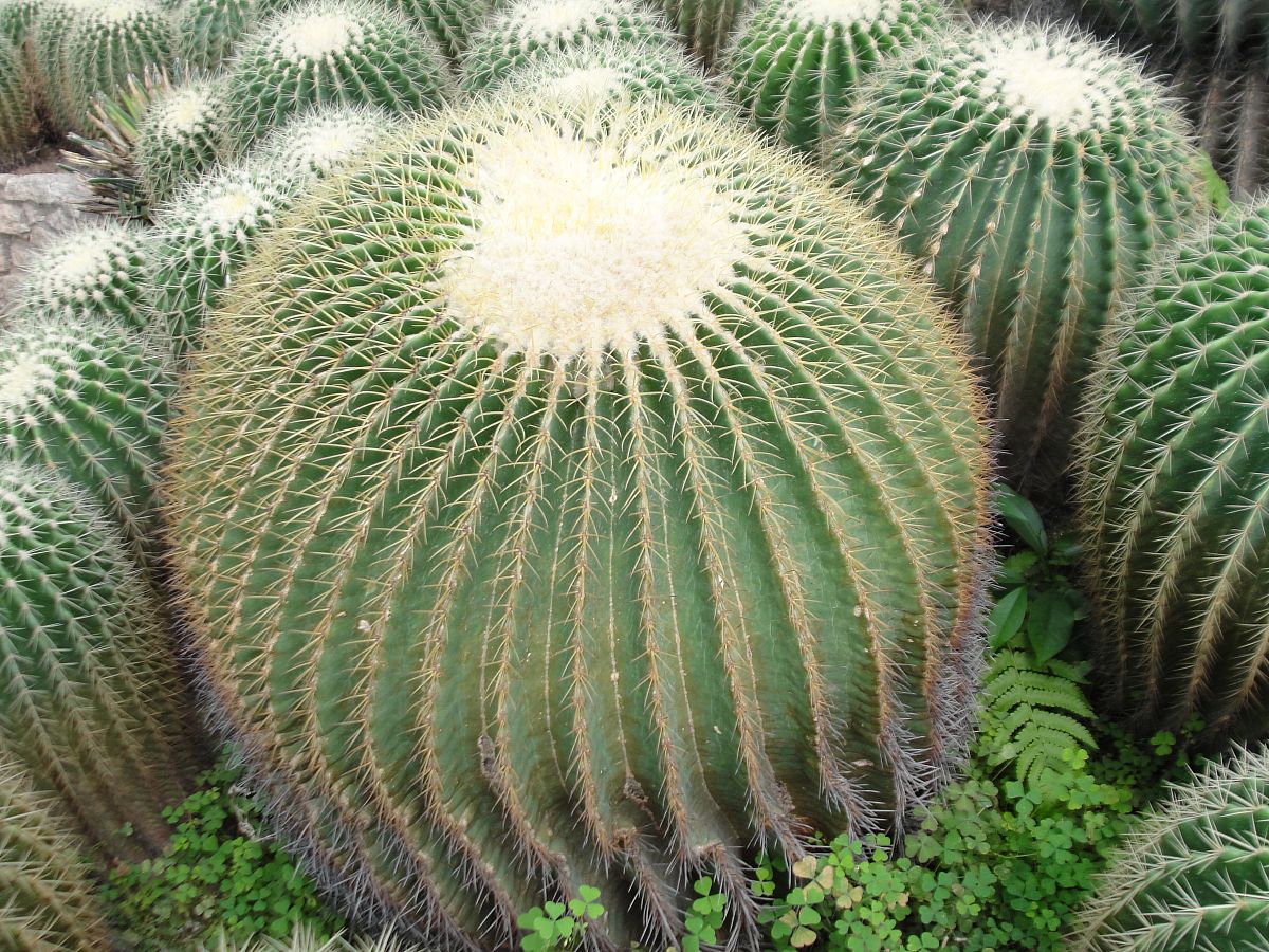 宜都职业教育中心2021年招生简章