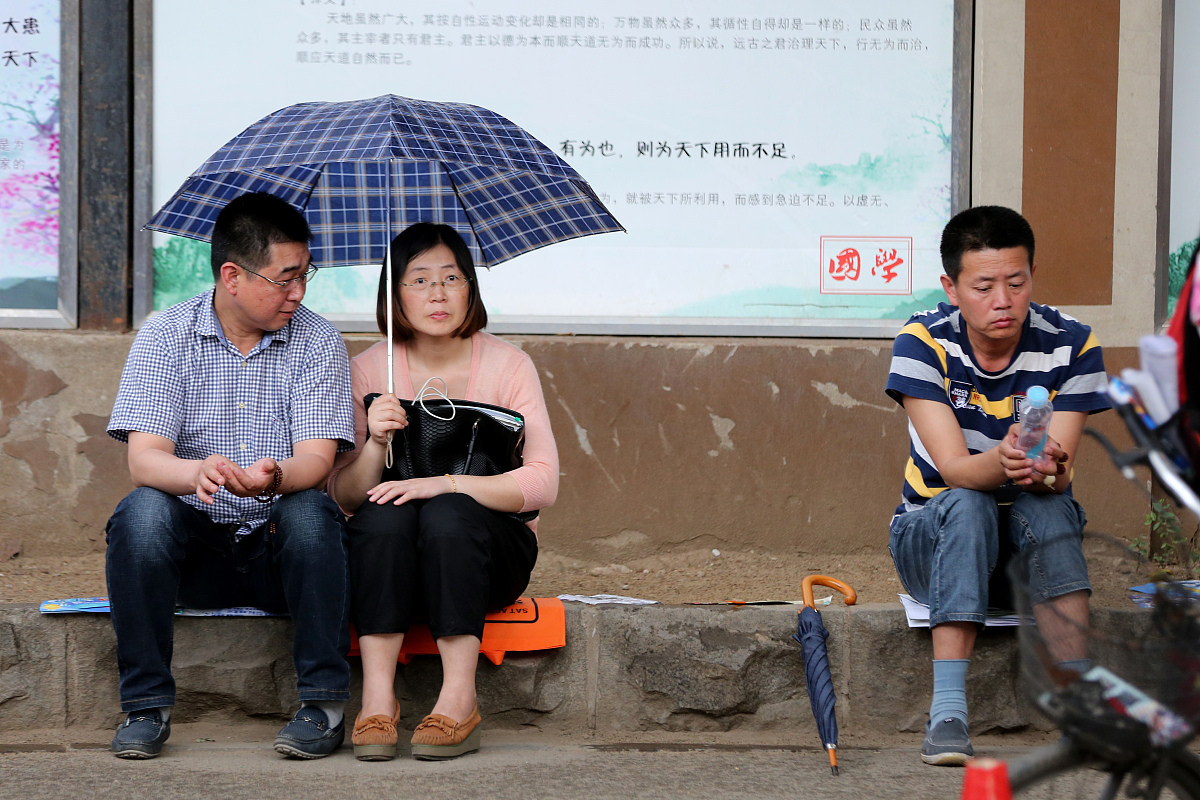 陆宗成：一位语文高级教师和自由作家的简介