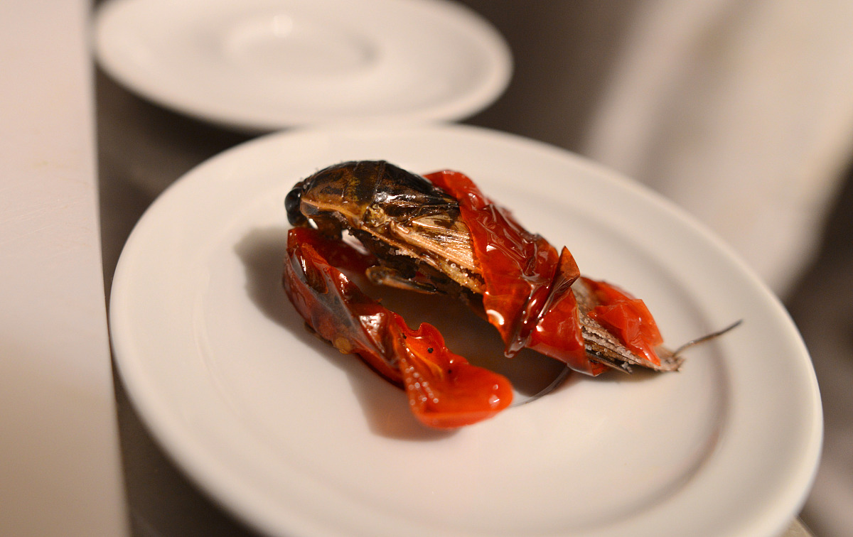 饥荒单机版PC版大小：约1.5GB