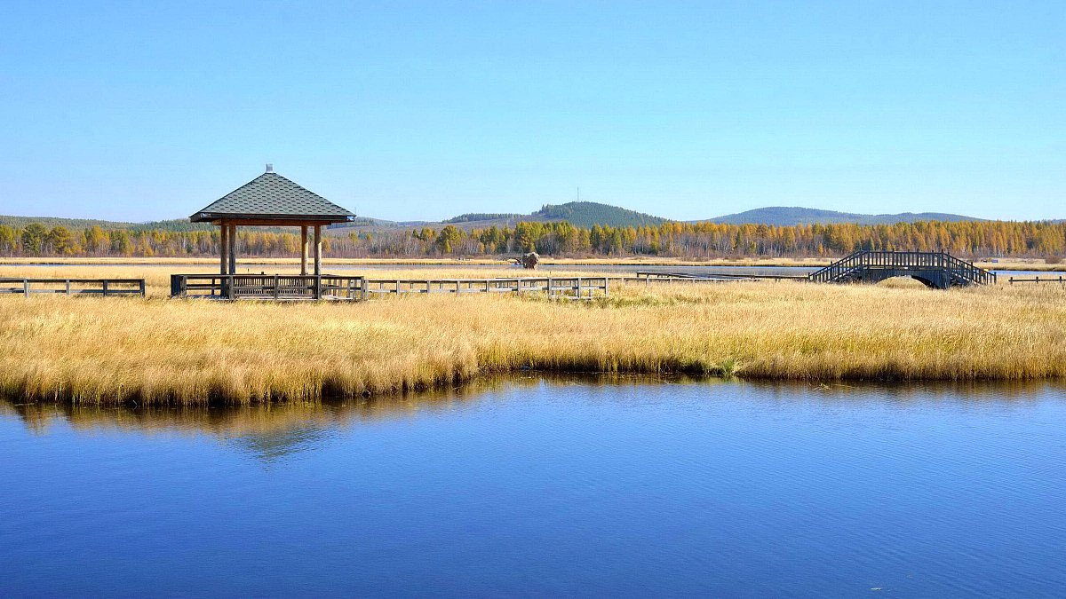 贵阳中职学校有哪些不错的专业推荐？