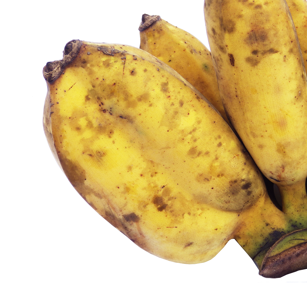 雪莲果为啥能去火呢