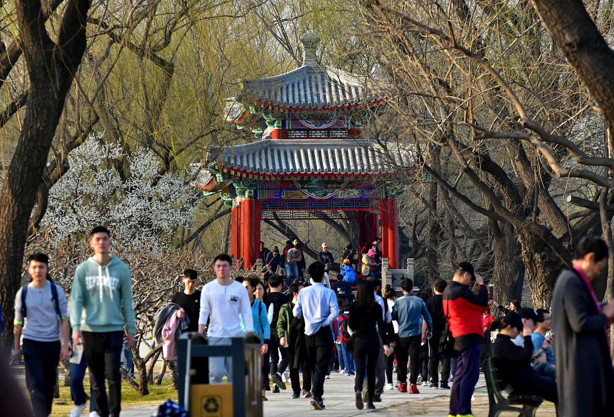 春日踏青正当时：2023春季旅游总结PPT模板及攻略