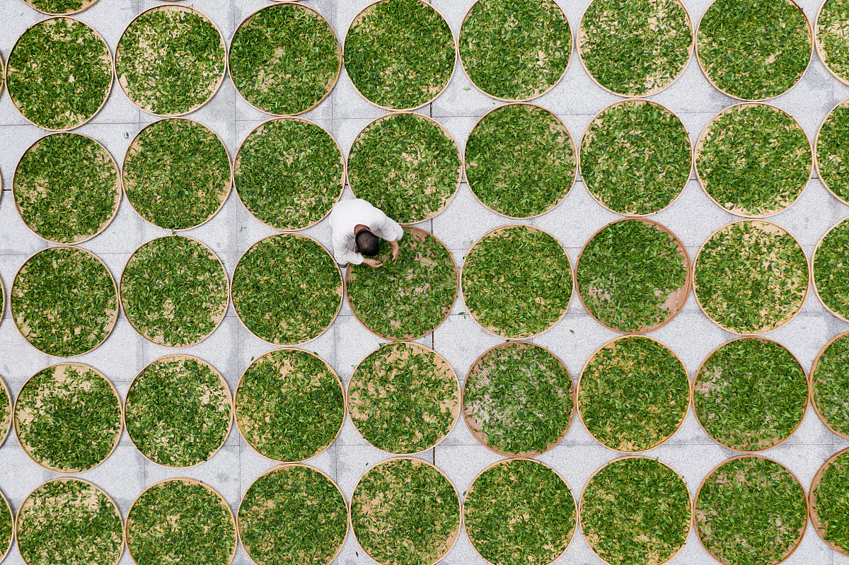 湛江卫生学校地址查询 - 广东省湛江市医学院校