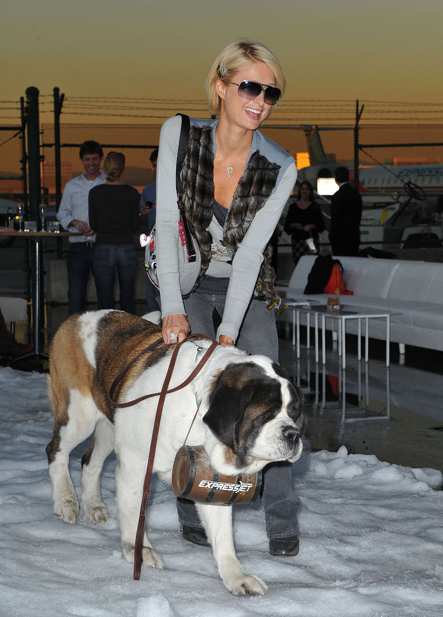 2009年1月18日讯,洛杉矶,帕里斯(paris hilton)当地时间1月16日在洛杉