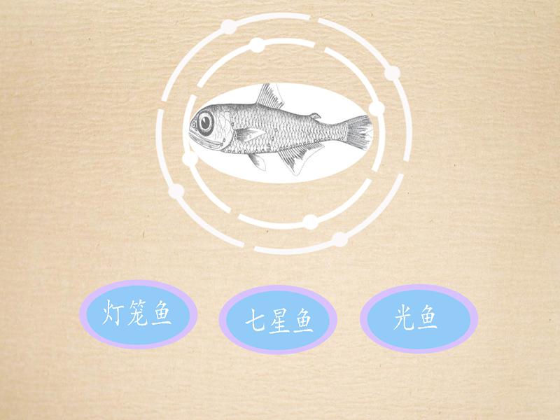 原来栉棘灯笼鱼长这样