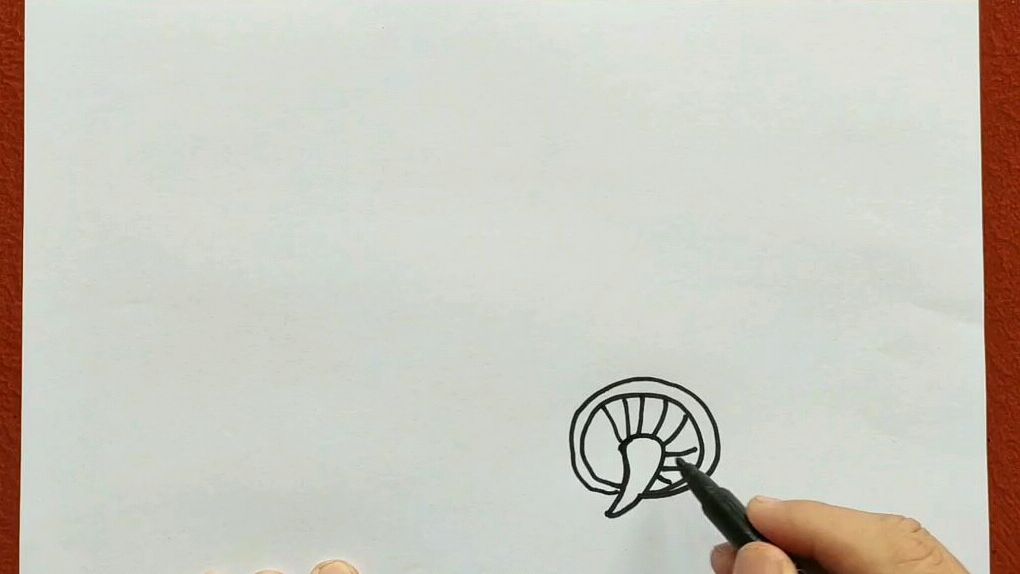 蔬菜莲藕与香菇儿童画