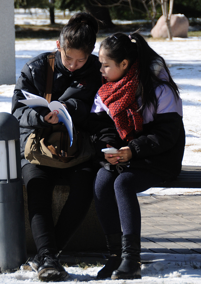 鹤壁职业技术学院招生办联系电话