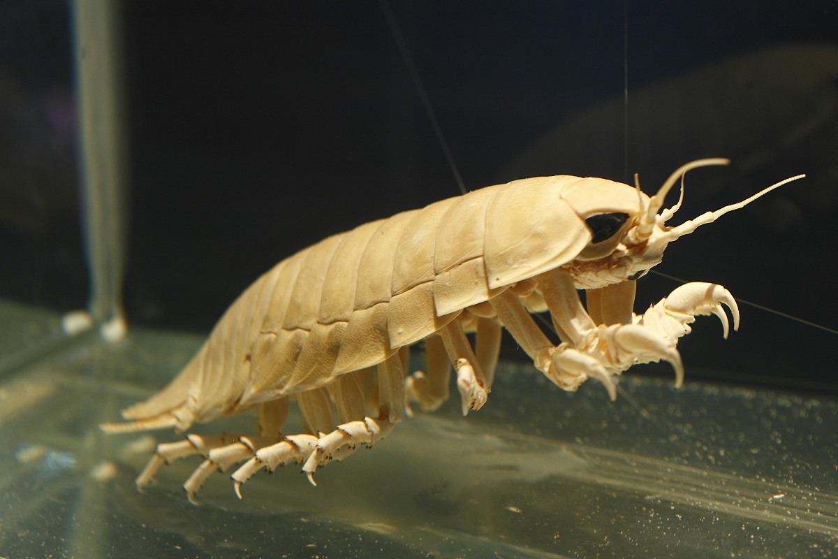 遵义南方科技技工学校入学需知