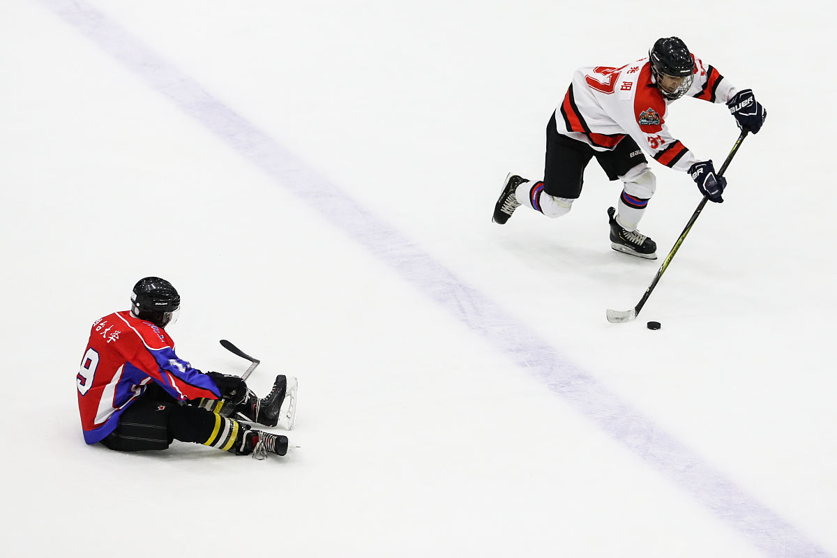 哈尔滨体育学院专业有哪些？专业介绍