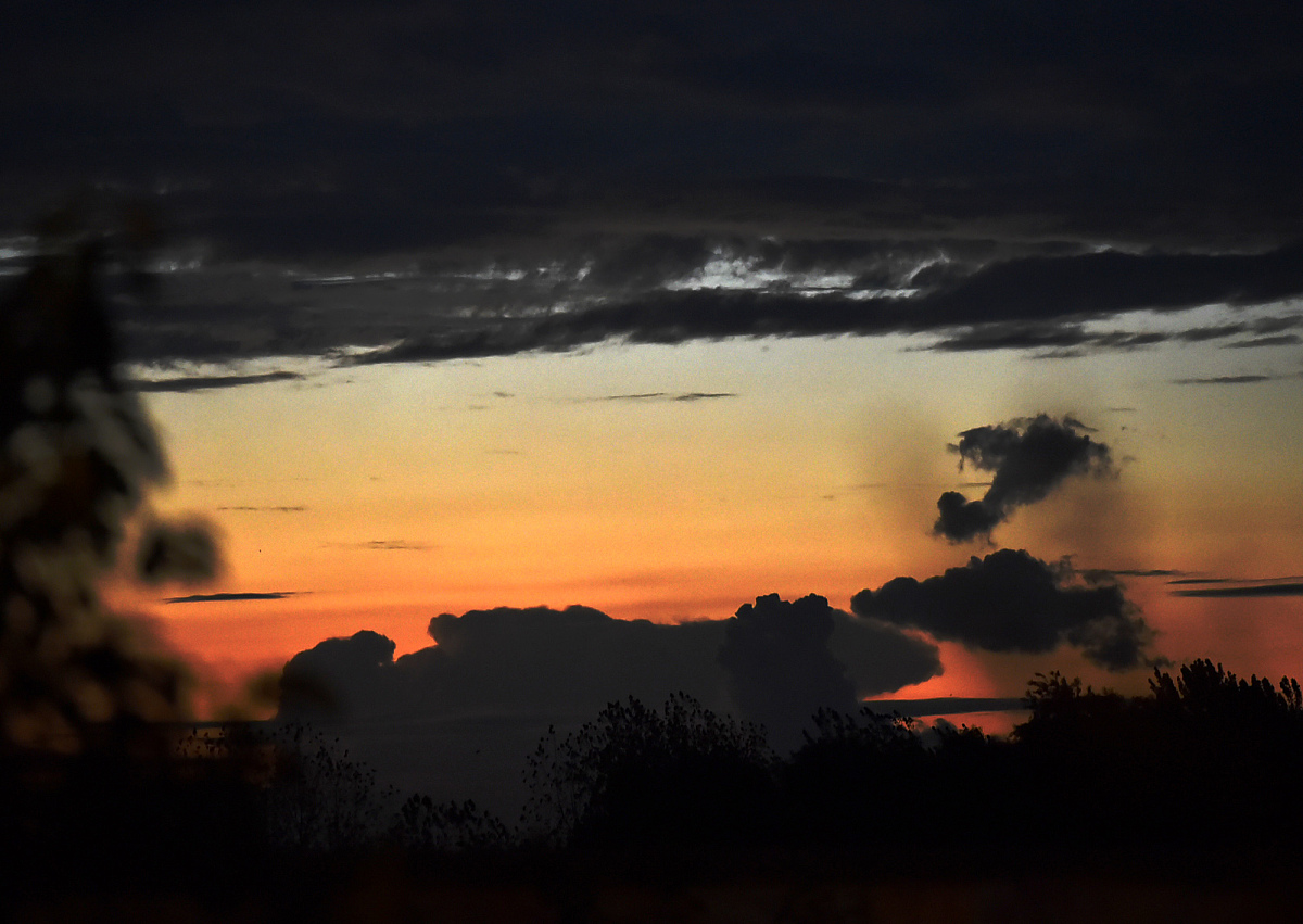 神奇魔术表演：让手表消失！