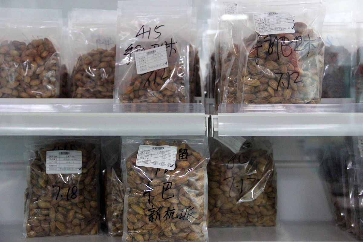 嗅觉感受器与嗅觉细胞有什么关系