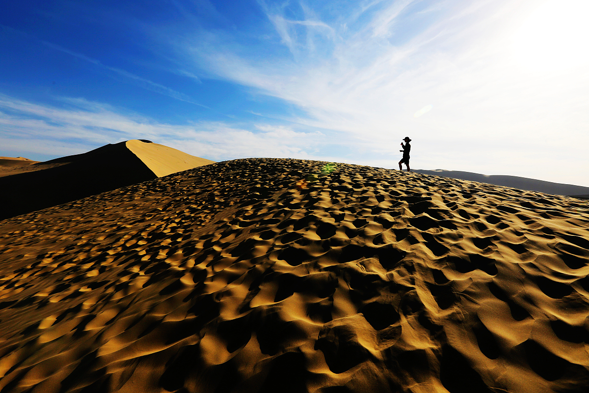 未来世界：荒漠主权，新国家与幸存者之间的博弈