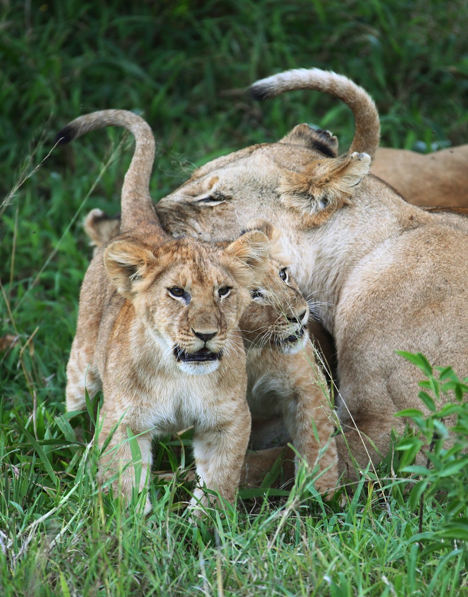 合肥初中生幼师学校推荐：如何选择最合适的学校？