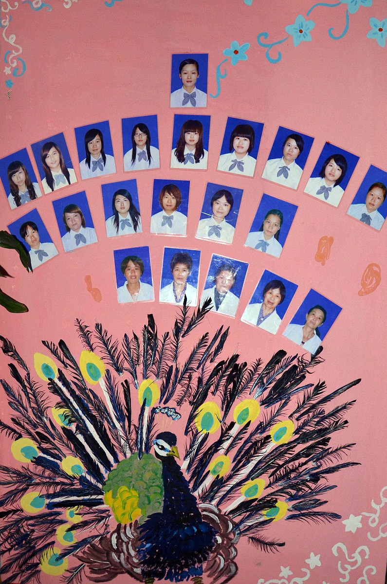 成都幼师师范学院学前教育专业怎么样？ - 详解师资、课程与实践教学