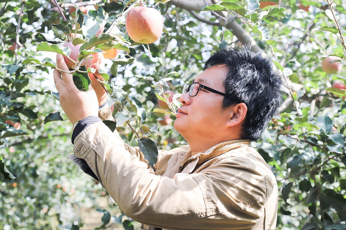 电商在新疆农产品发展过程中面临的营销宣传问题