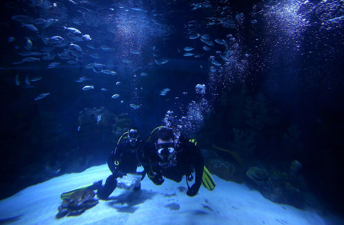 猜字谜：池里没有水