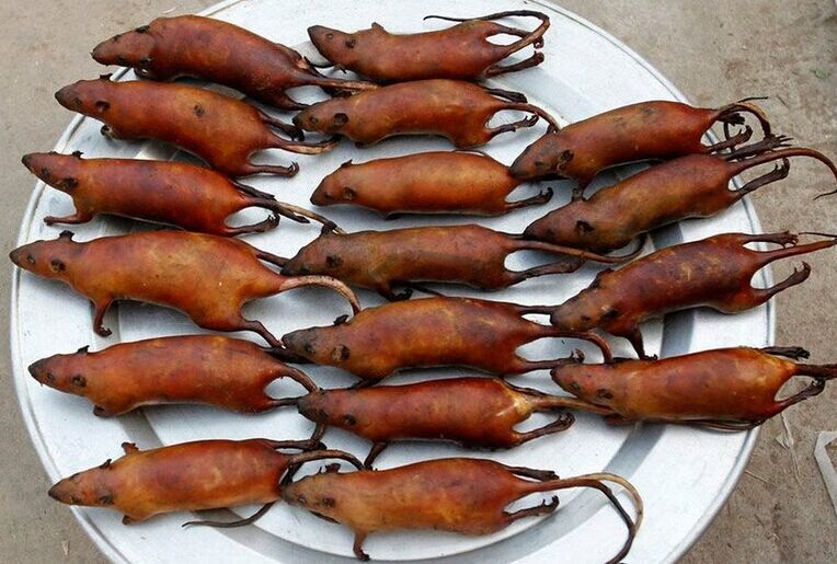 老鼠也能吃?用最传统工艺制作,在他们眼中老鼠肉就是人间美味!