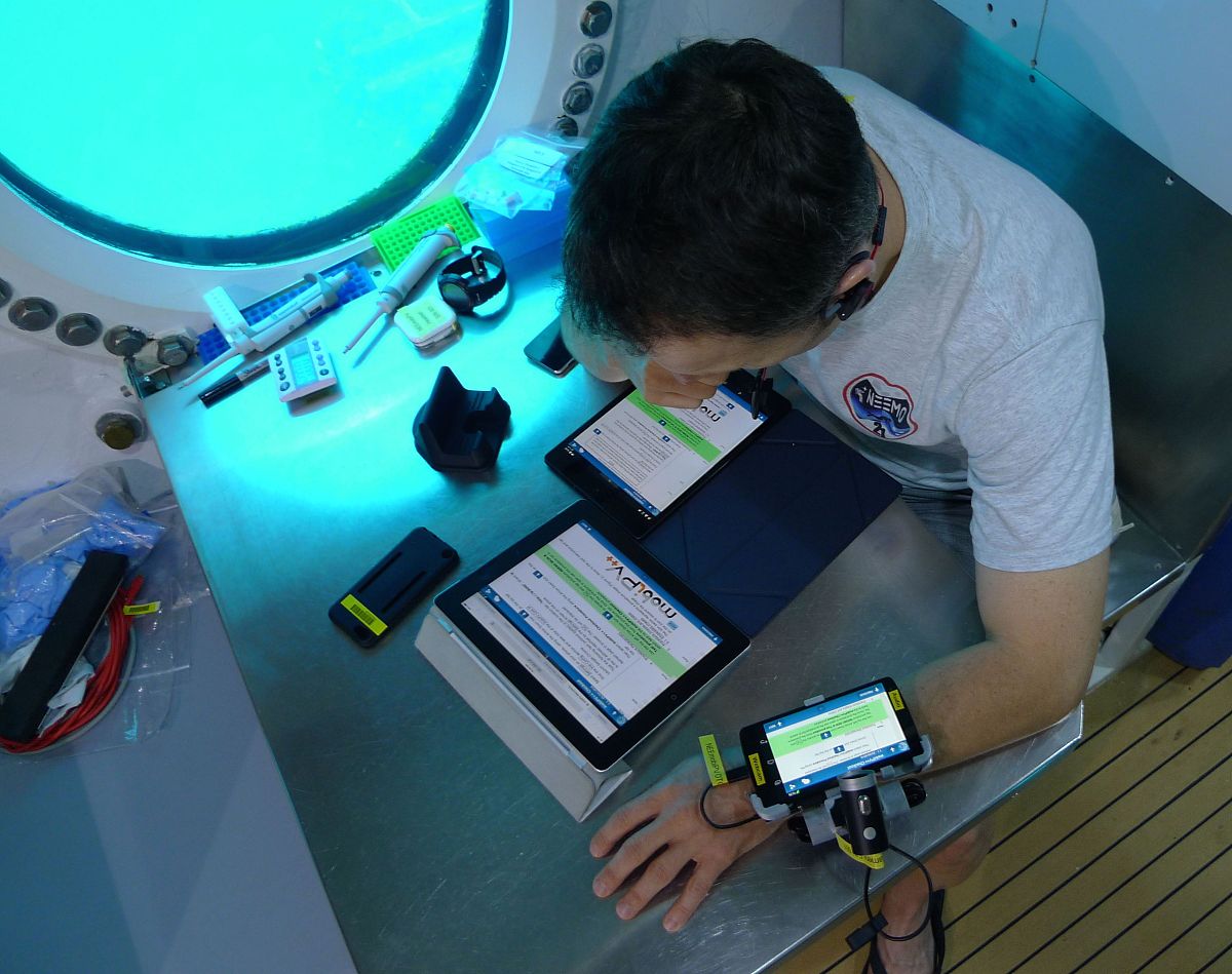 电离的类型：共价电离和离子性电离