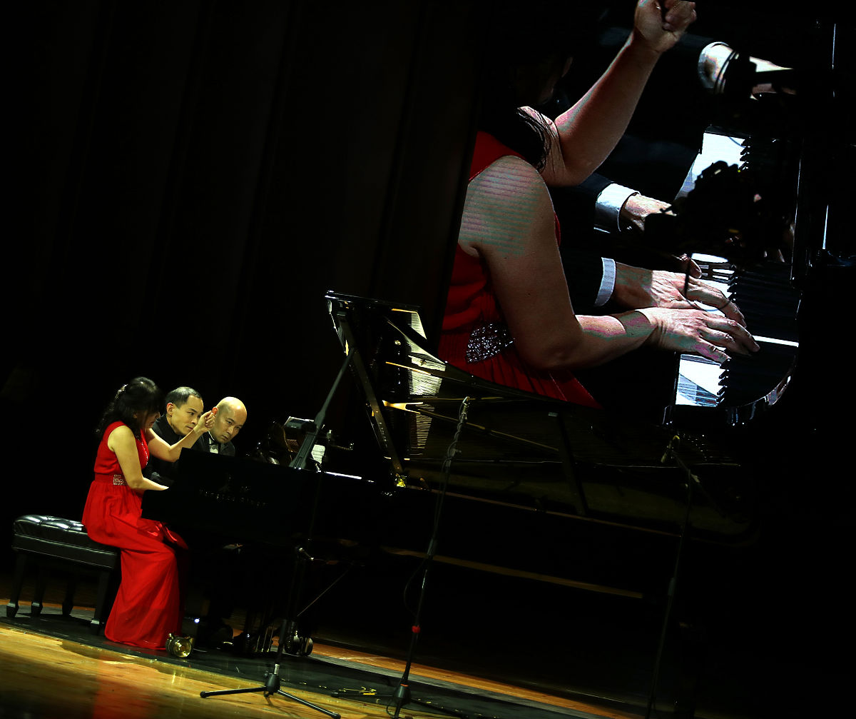 C语言计算圆的面积：函数实现与输出