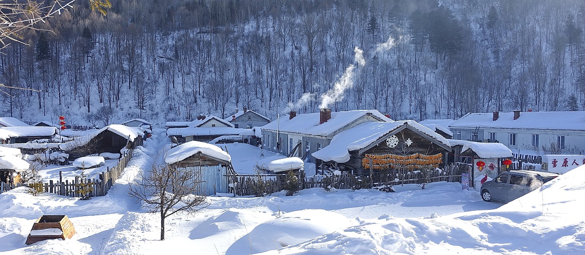 黑龙江林业职业技术学院旅游管理专业就业前景分析