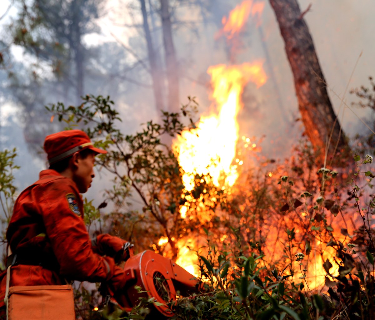60岁老人意外引发山火：如何应对和处理？