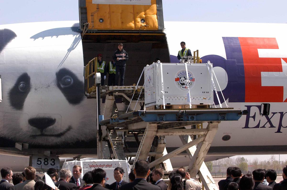 熊猫丫丫回国流程：出口许可证、运输、检疫等步骤